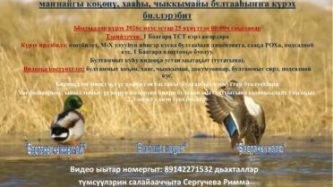 1 Баатара нэһилиэгин булчуттарын икки ардыгар ыытыллар маҥнайгы көҕө…